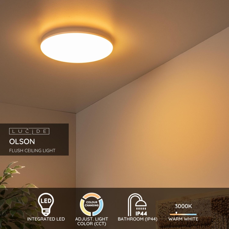 Lucide OLSON - Flush ceiling light Bathroom - Ø 29 cm - LED - CCT - 1x24W 3000K/6500K - IP44 - Opal